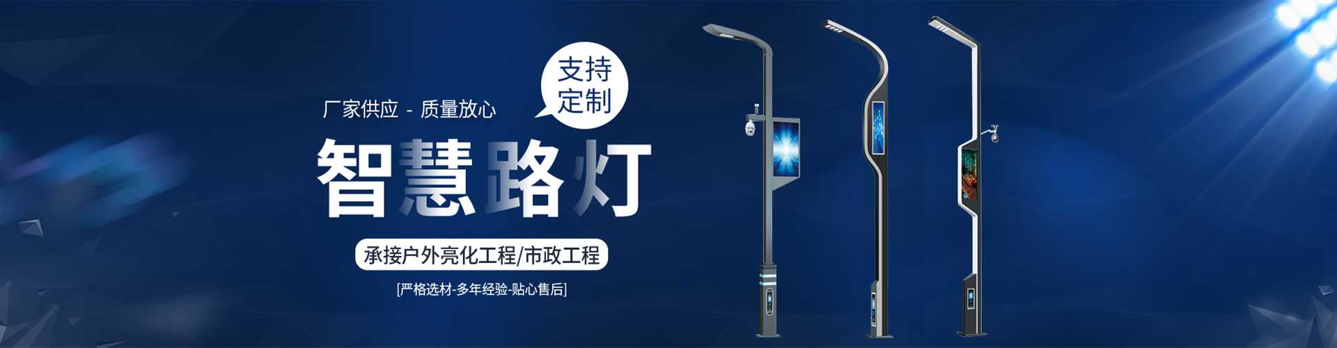 金林区太阳能路灯定制厂家