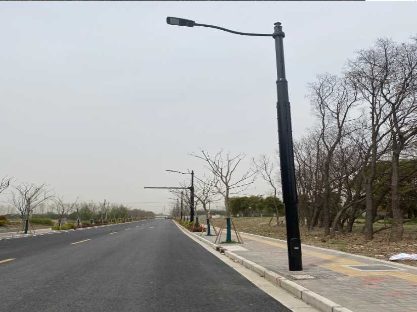 金林区上海综合杆 太阳能路灯工程